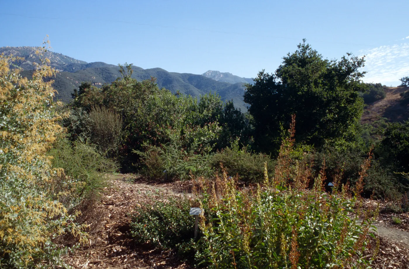 Porter Trail