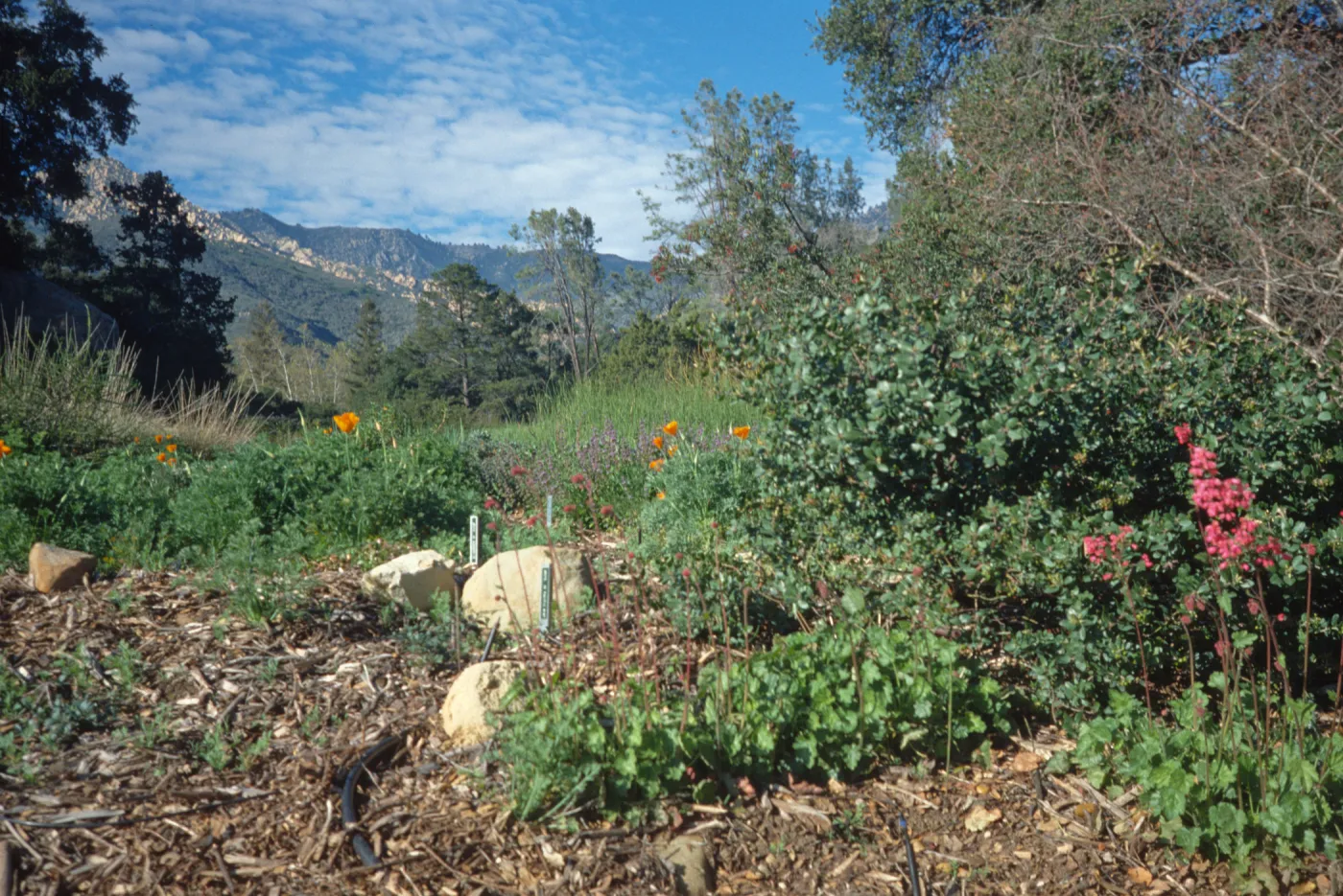 Porter Trail