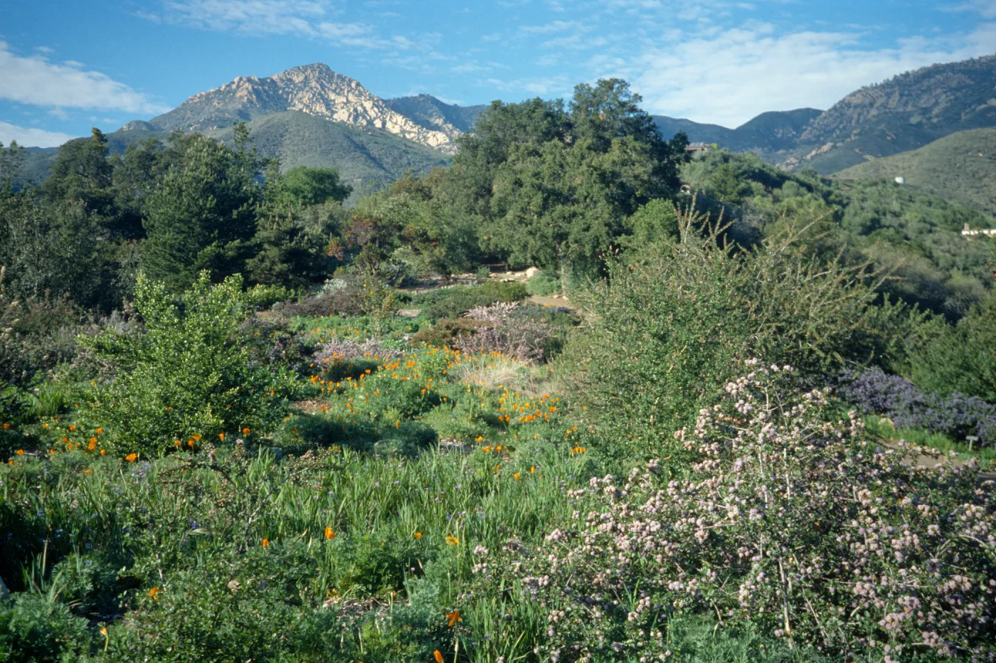 Porter Trail and Cathedral Peak March 1989