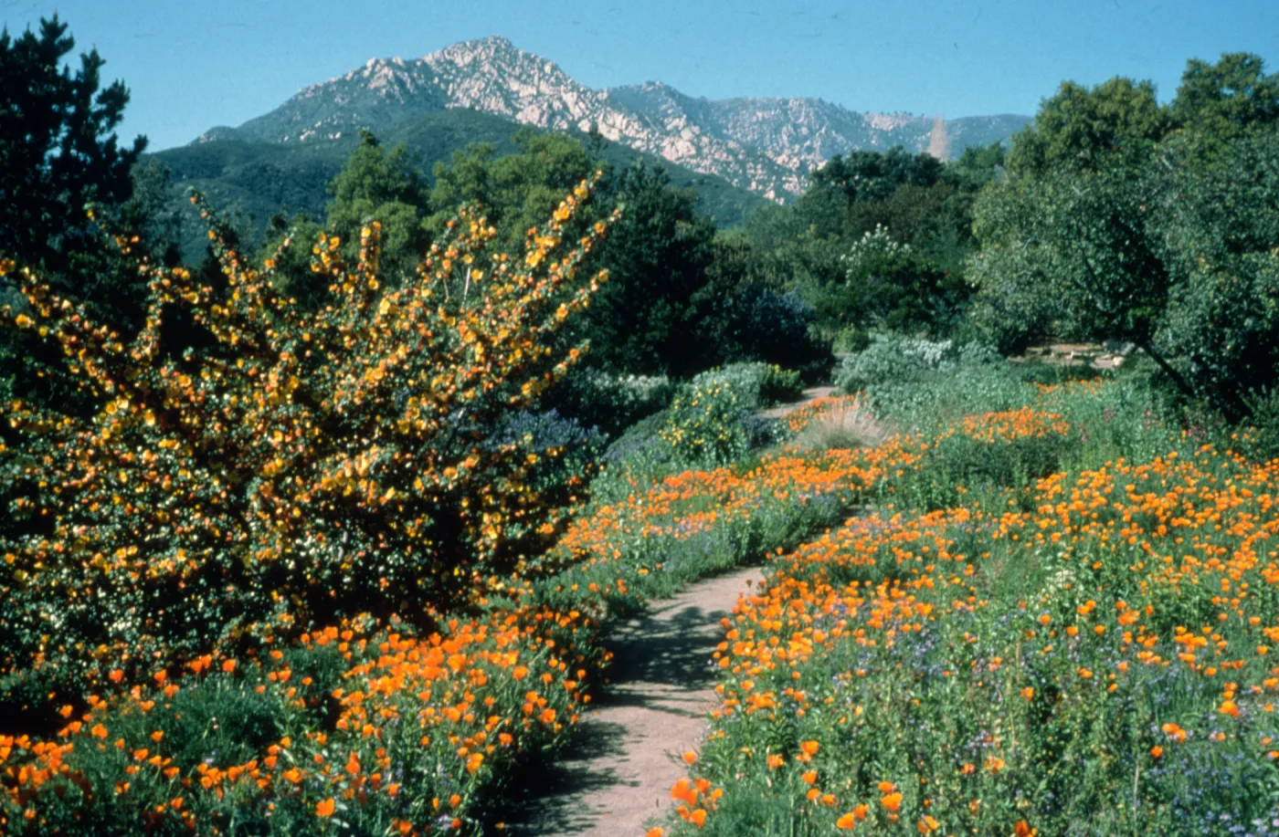 Spring on the Porter Trail