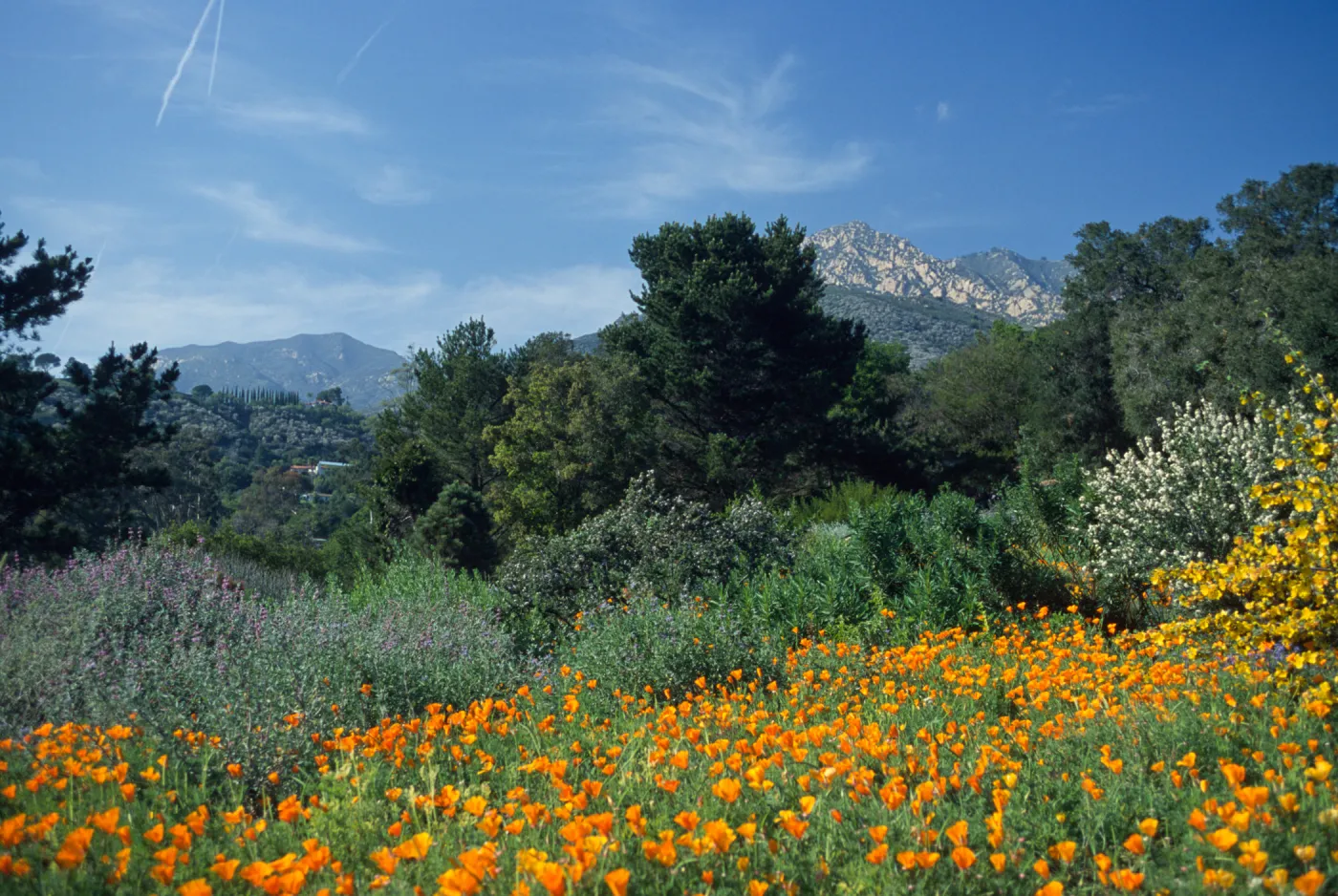 Spring on the Porter Trail 