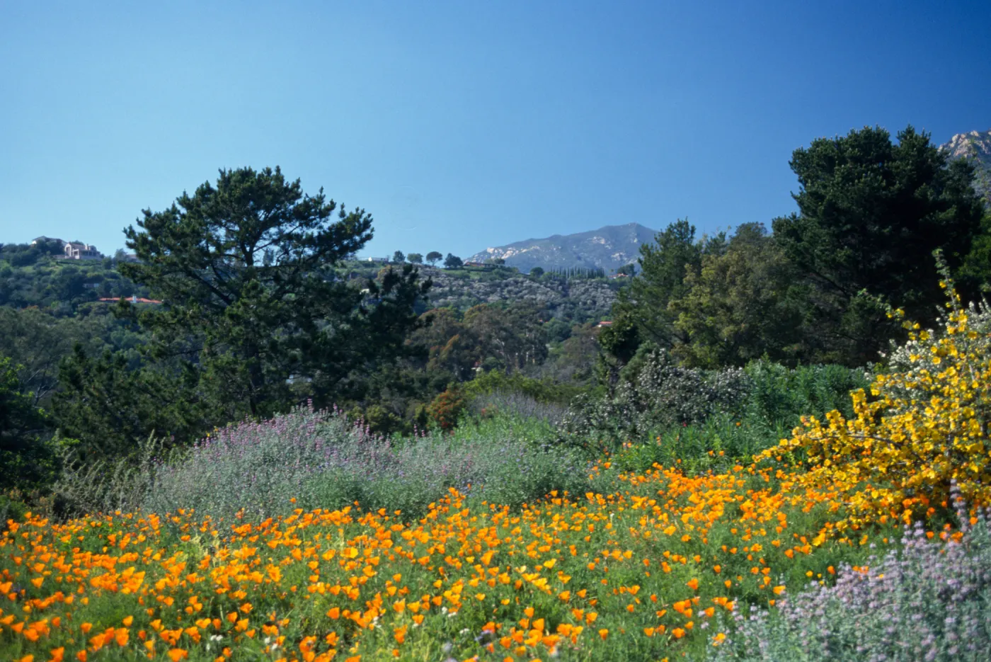 Spring on the Porter Trail