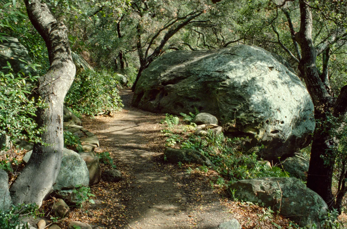 Large Boulder along the Pritchett Trail 