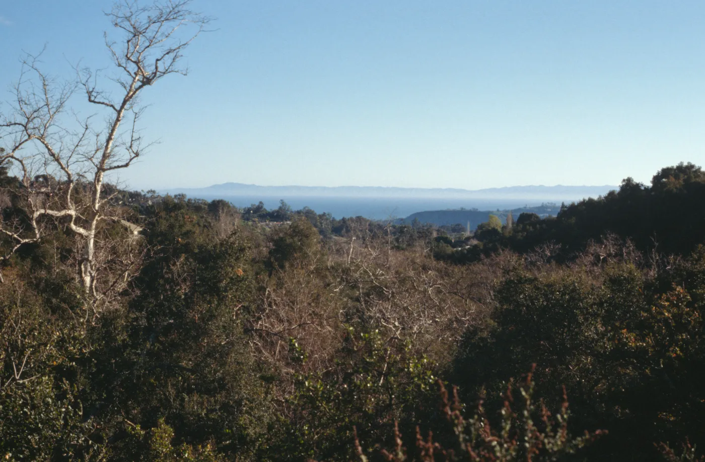 View of the Channel Islands from the Pritchett Trail