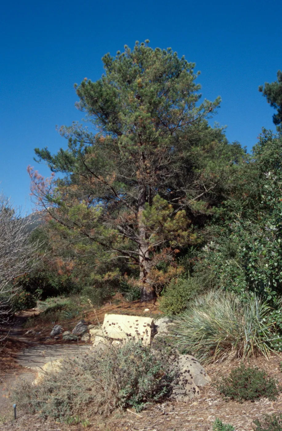 Bench on Lower Porter Trail