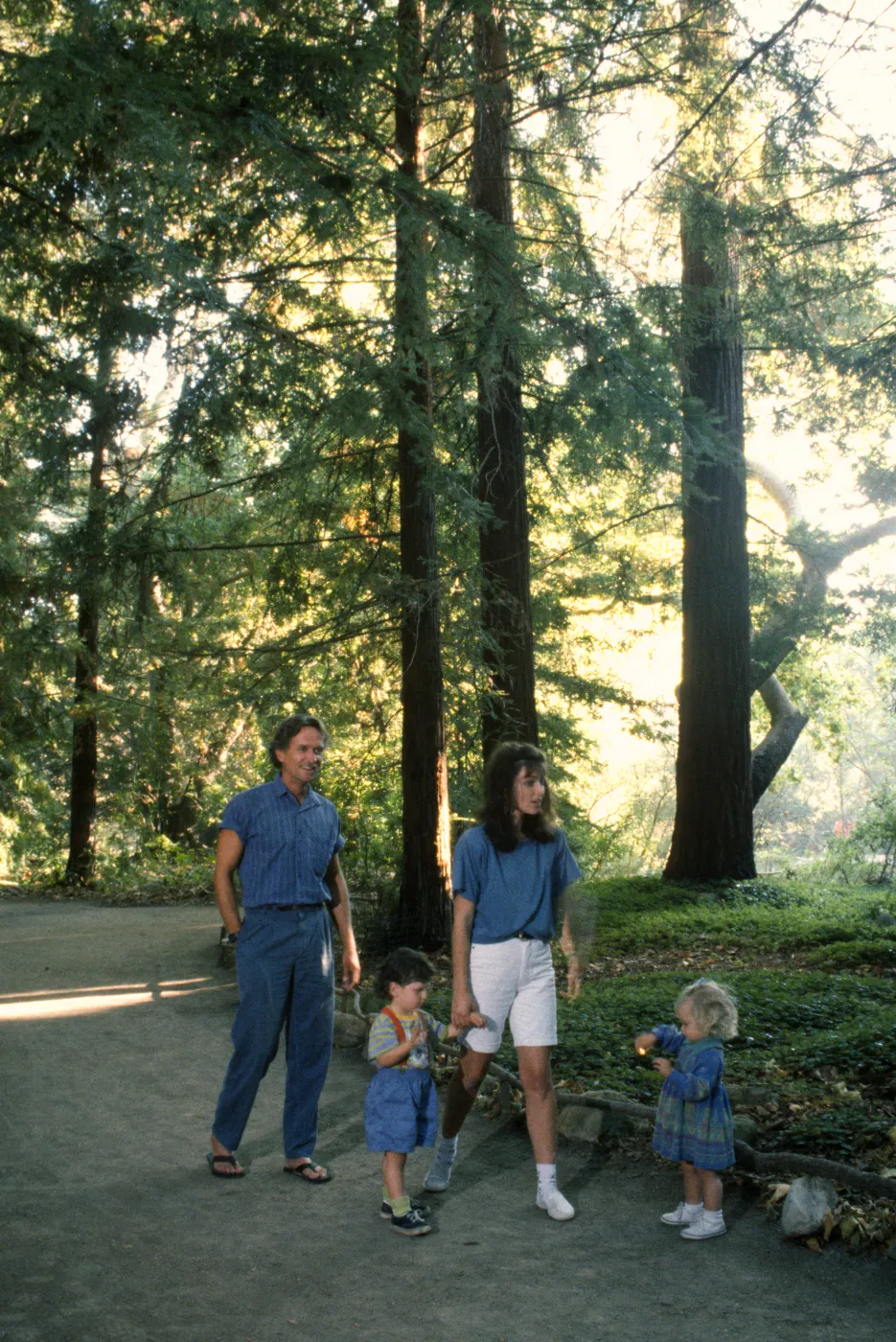 Photo shoot Redwood section