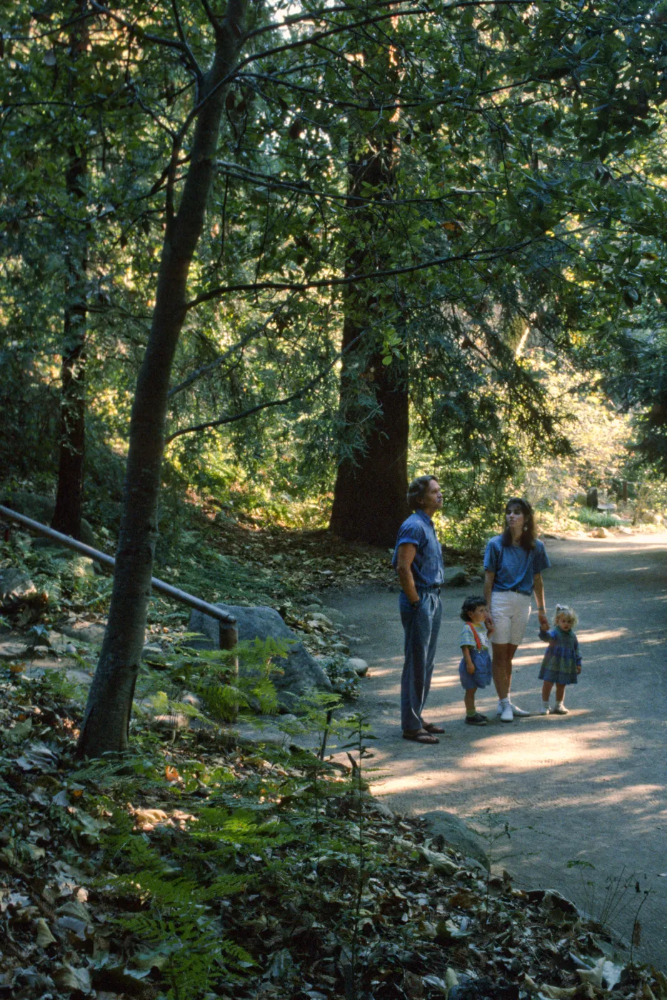 Photo Shoot Redwood section