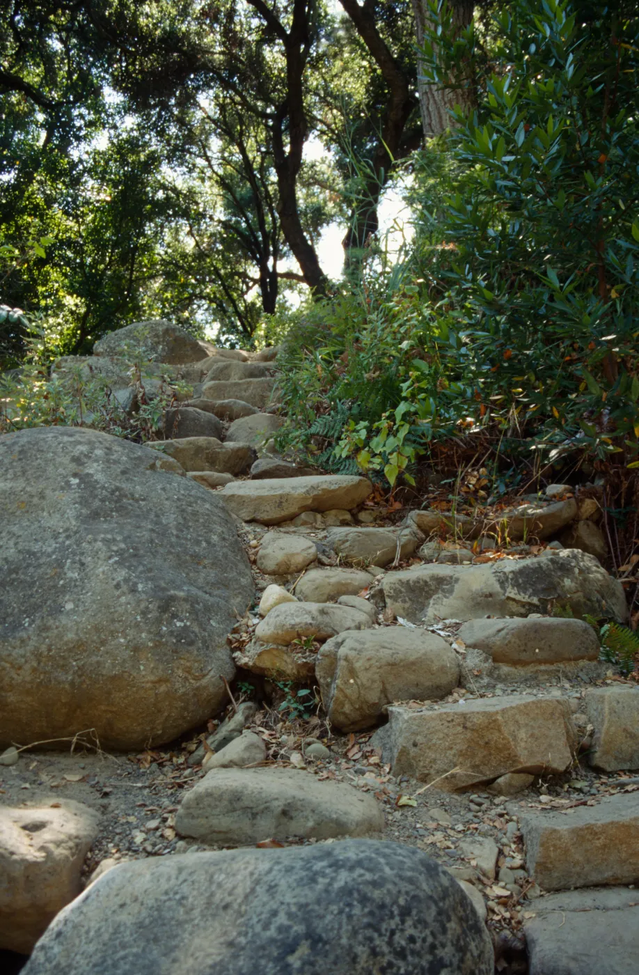 Existing steps to pool in Redwood section