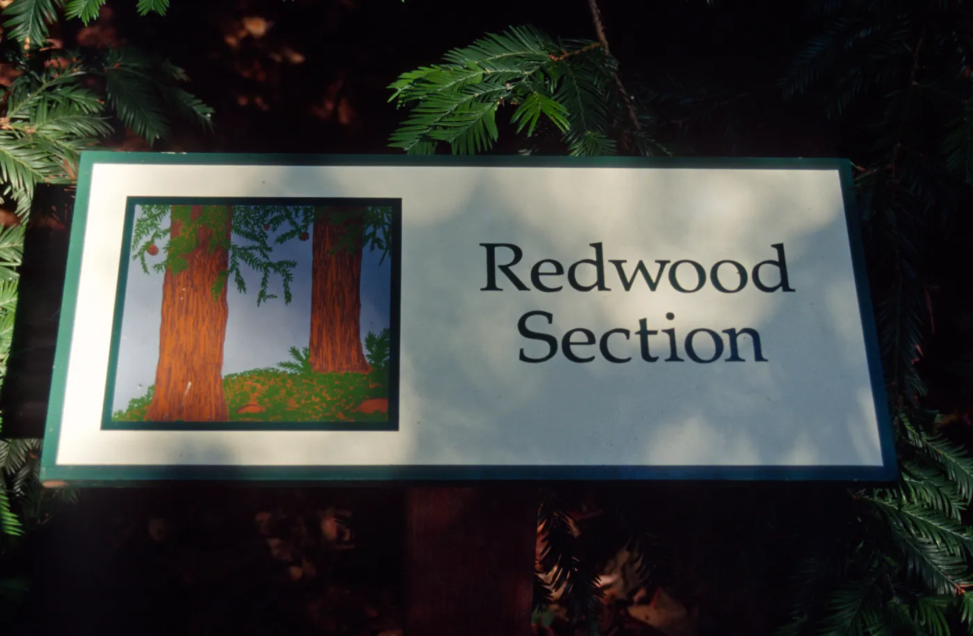 Redwood Section" signage"