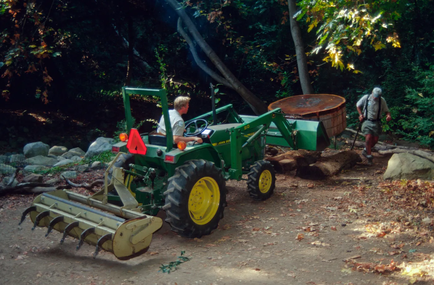 Redwood cross-section