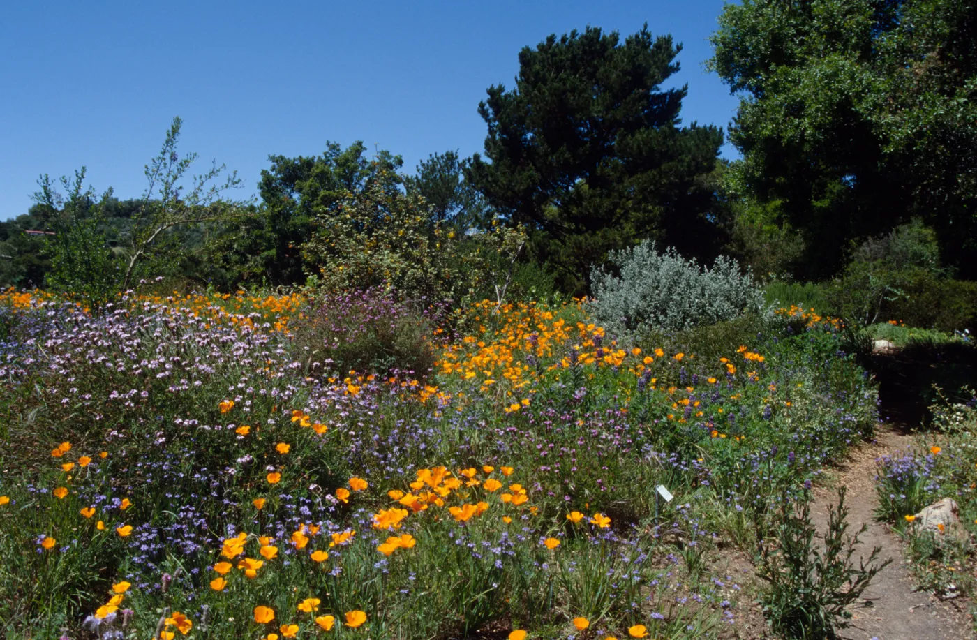 Spring on the Porter Trail