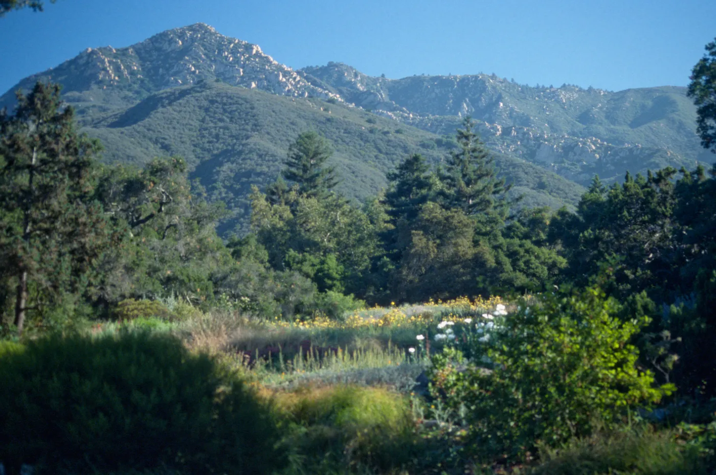 Top of Meadow, view of La Cumbre Peak