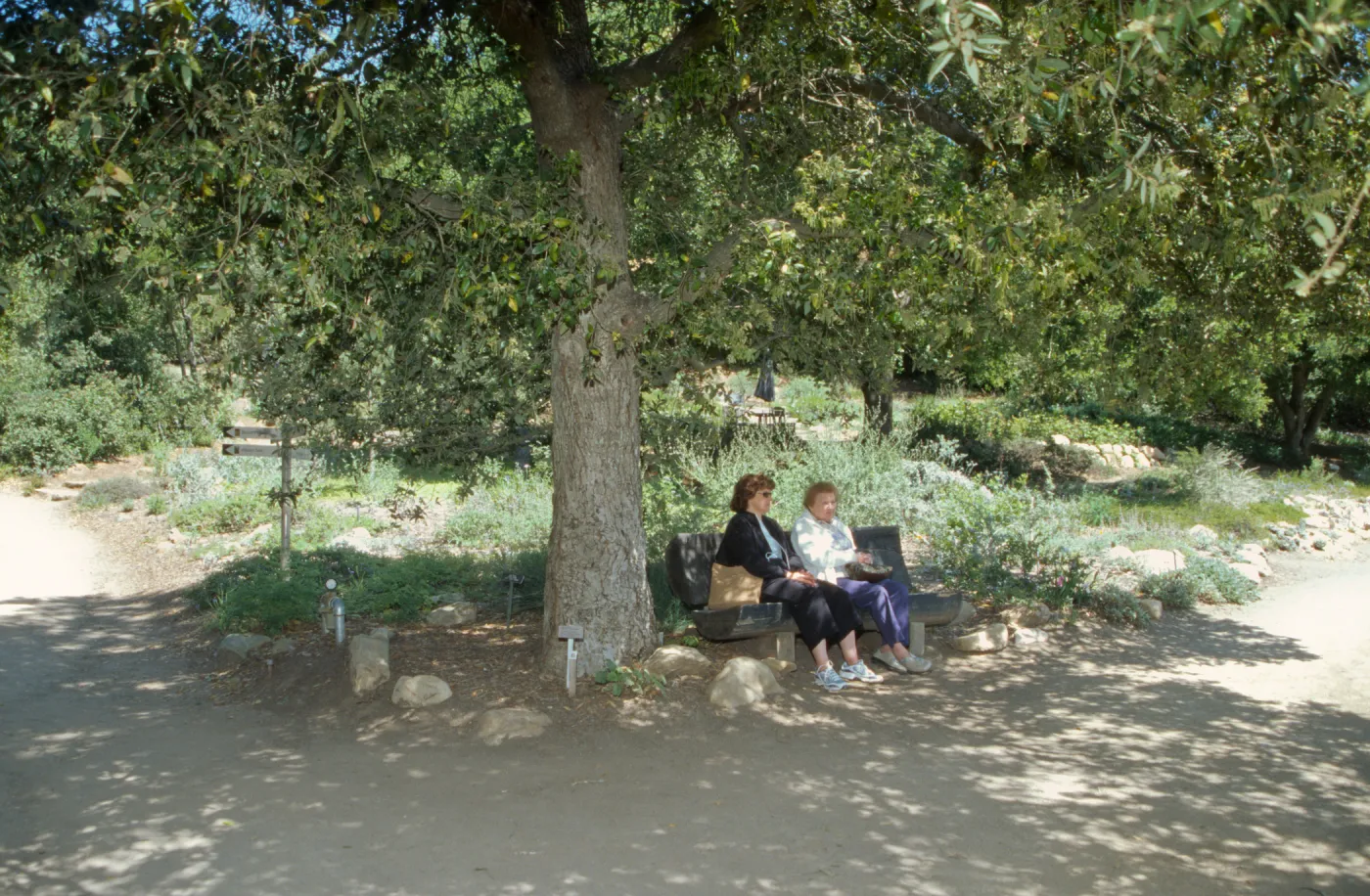 Meadow view, ladies on wood bench facing meadow