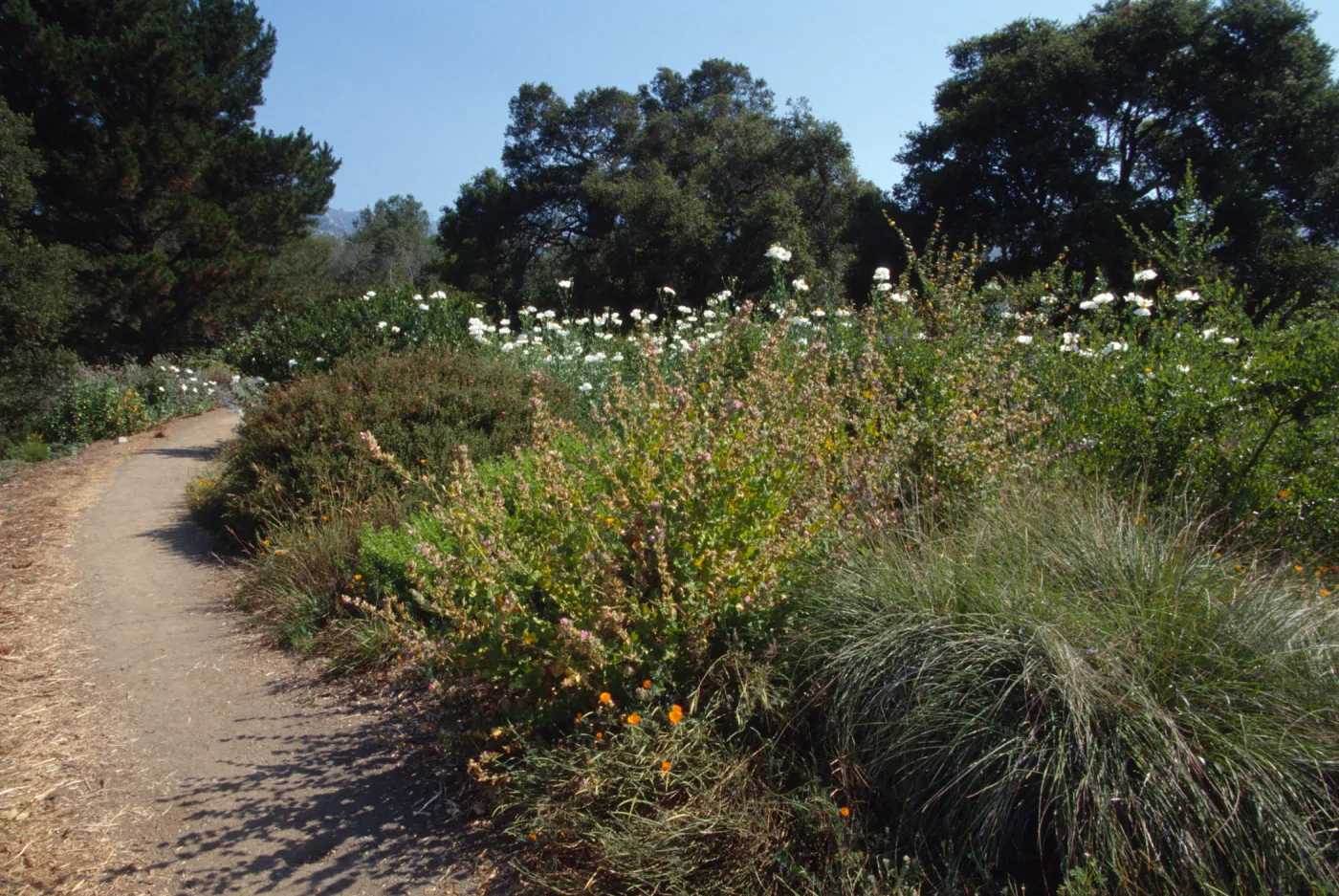Porter Trail hilltop Looking north, ©Marie Gayeski