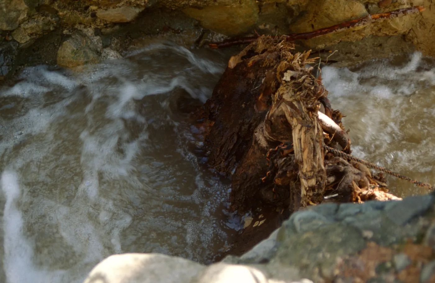 flood debris collected in Mission Dam
