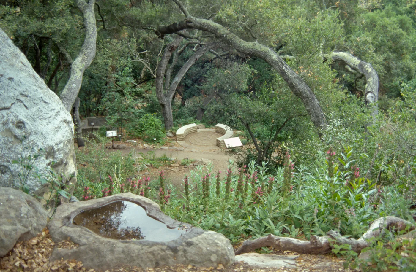 Distance view of spiral bench in Fiber Arts Display, view from Pritchett Trail