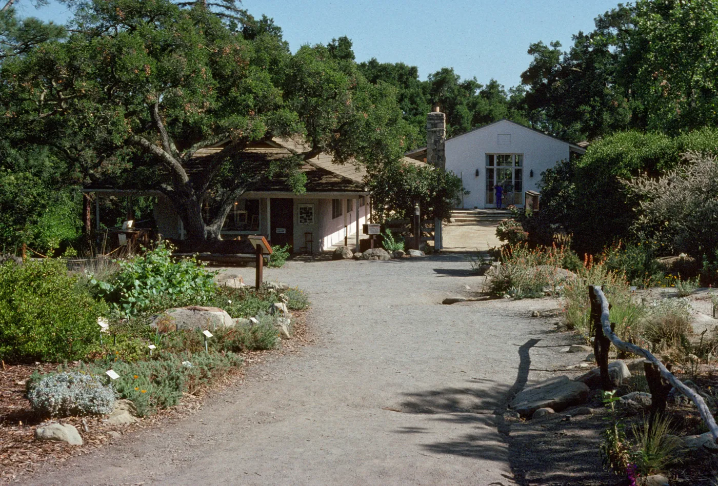 Entrance Display, entrance oak