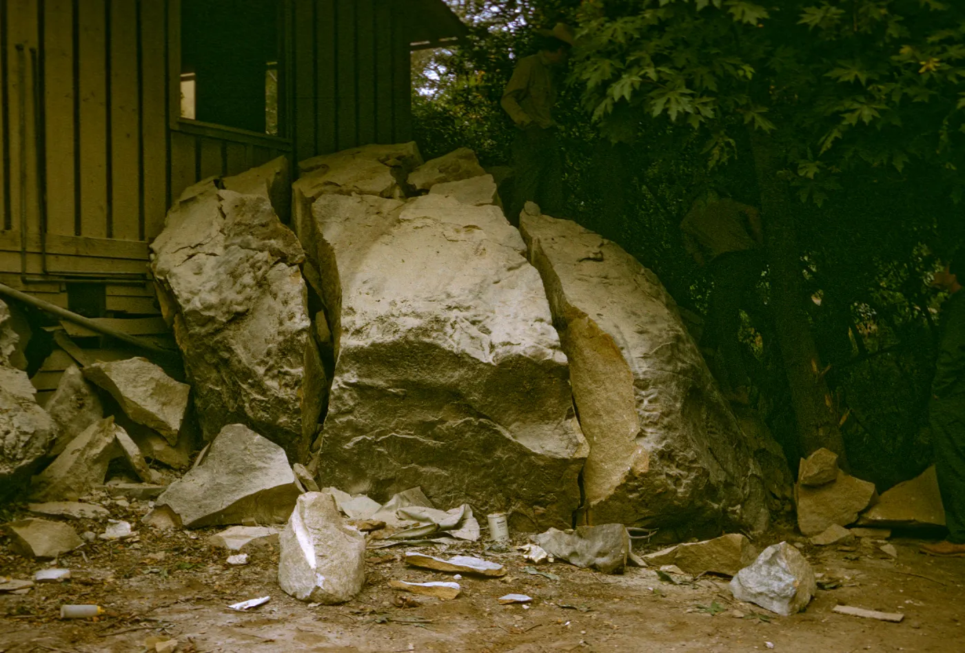 Herbarium Construction. View of pre-herbarium building