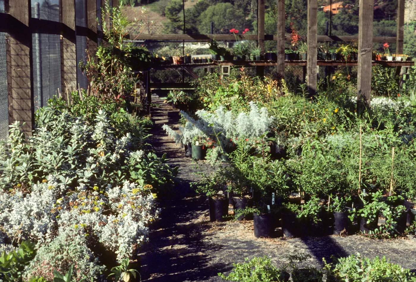 Horticulture Unit covered growing area