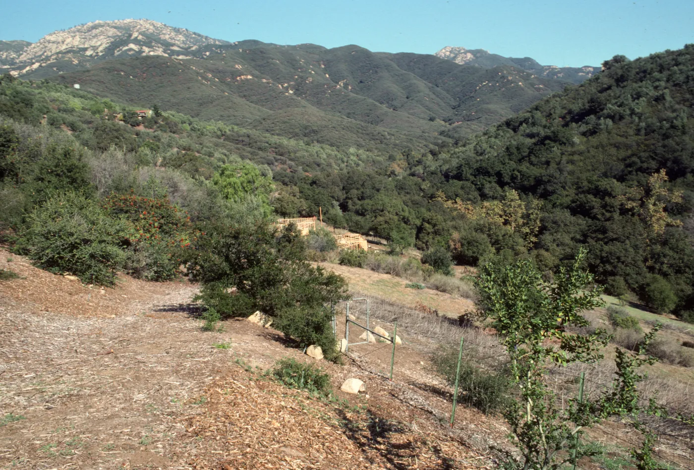 East Slope, below Hort Unit