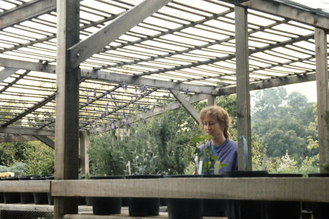Horticulture Unit