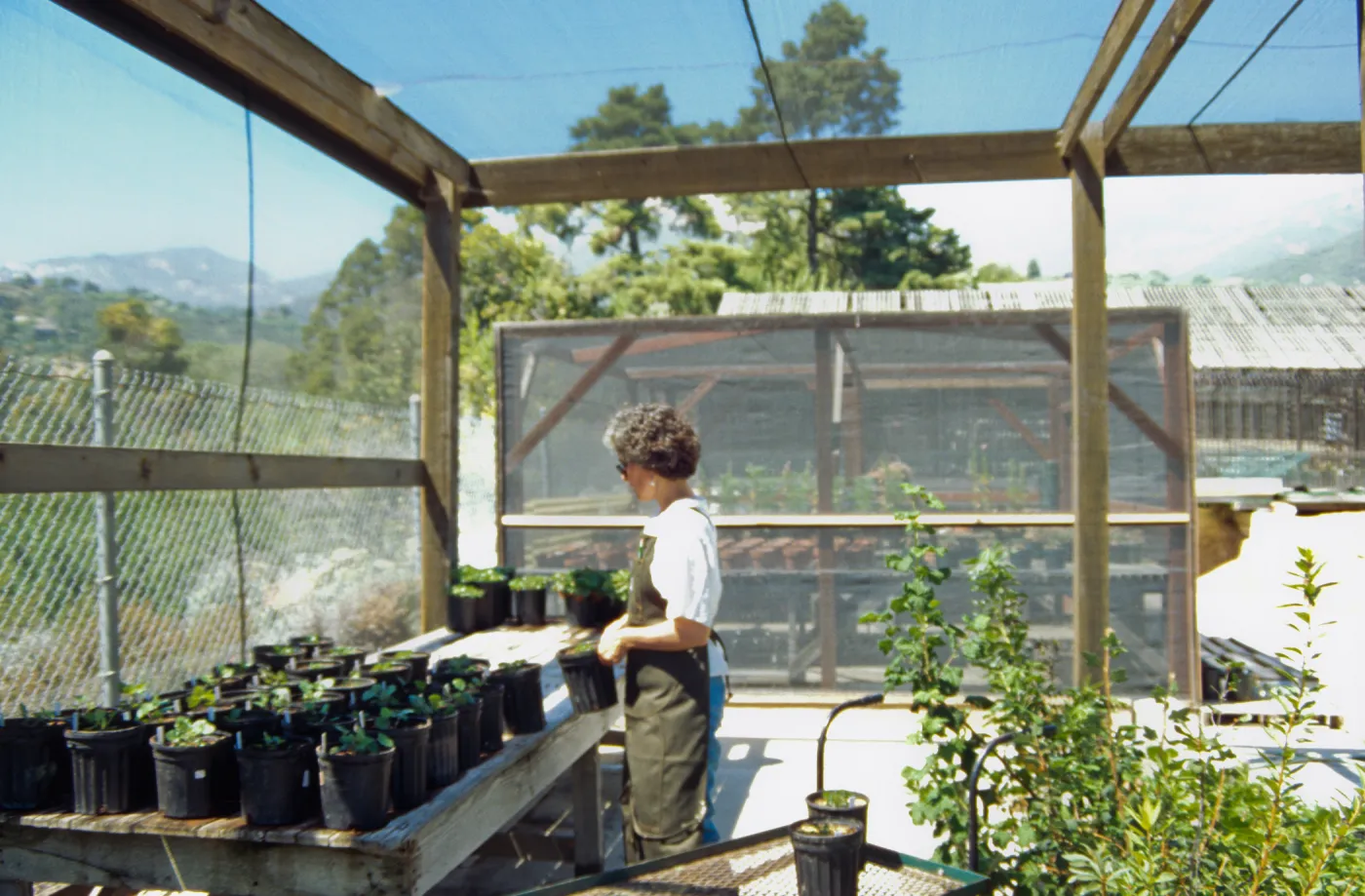 Horticulture Unit covered growing area