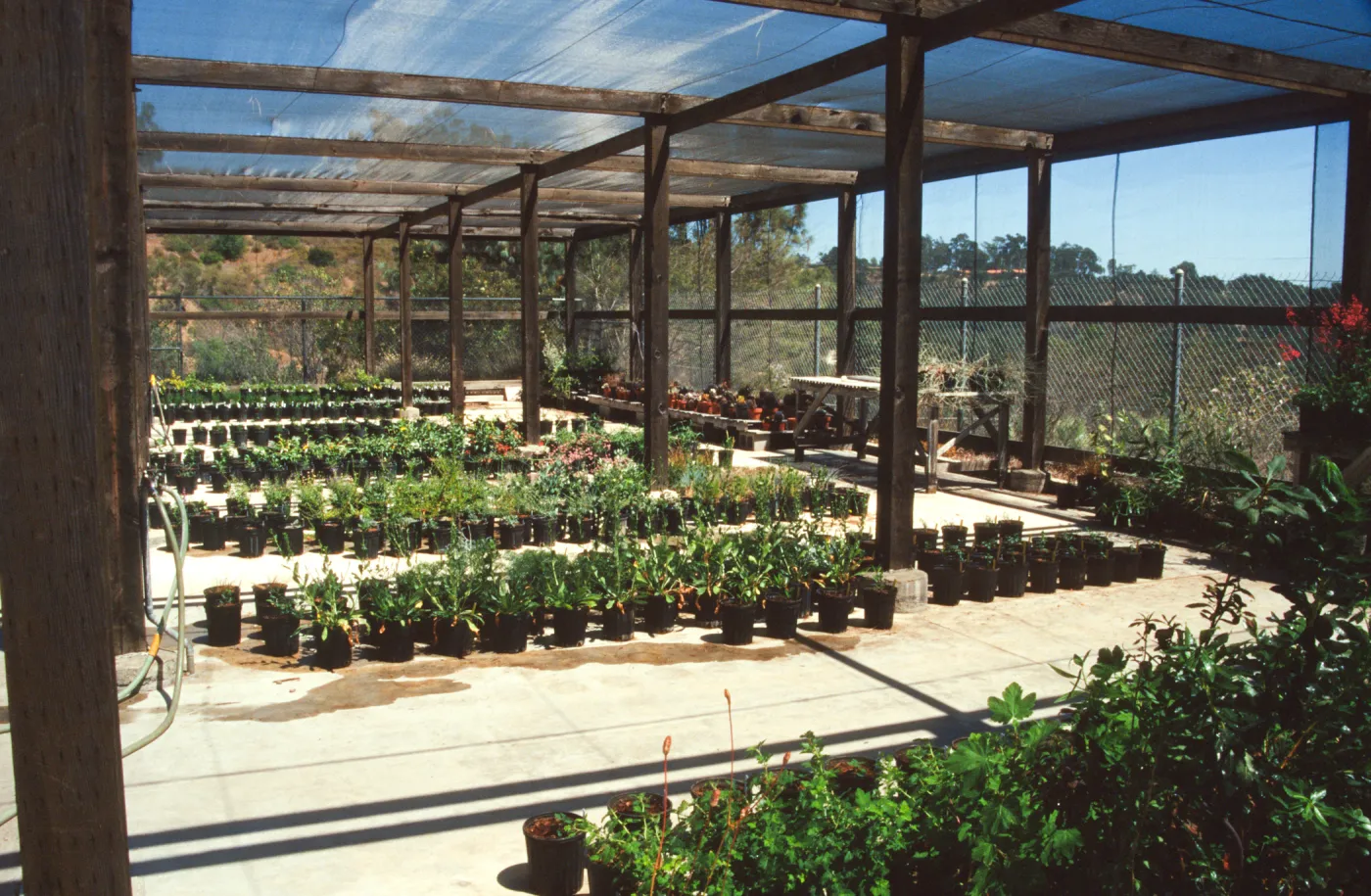 Horticulture Unit covered growing area, gallon pots, potted plants