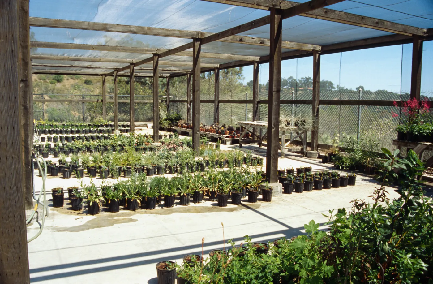 Horticulture Unit covered growing area, gallon pots, potted plants