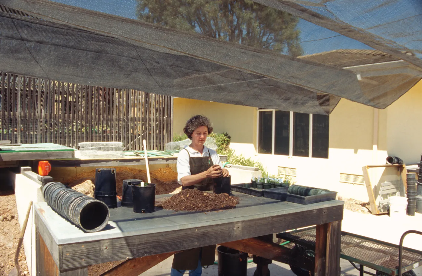 Horticulture Unit, plant propagator potting up plants