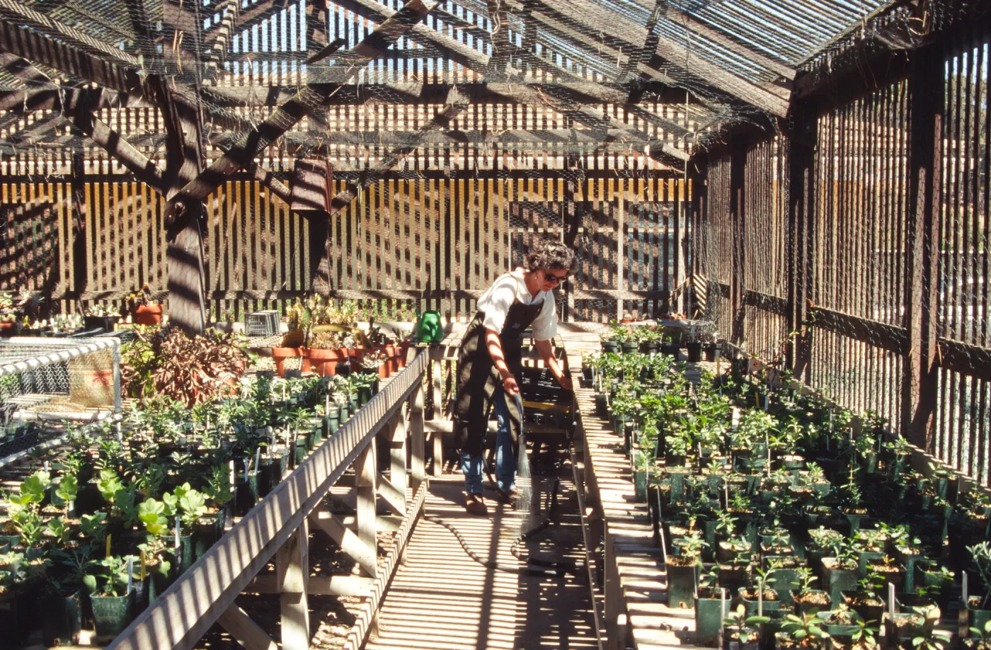 Horticulture Unit, inside the Horticulture lathe house