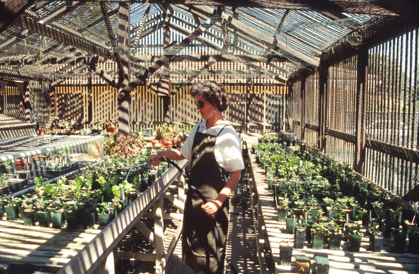 Horticulture Unit, inside the Horticulture lathe house