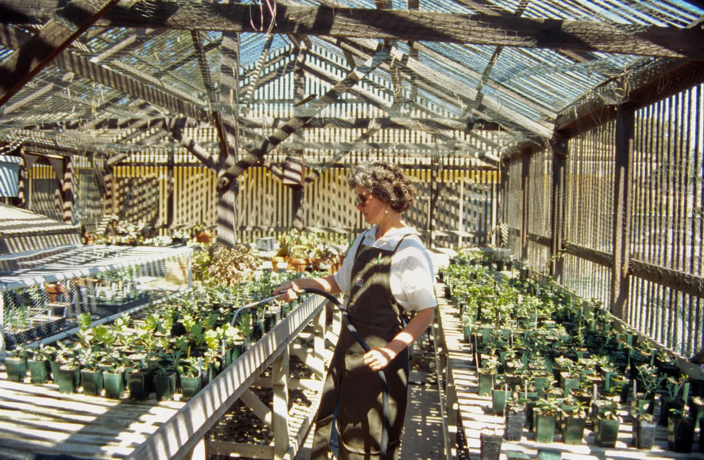 Horticulture Unit, inside the Horticulture lathe house