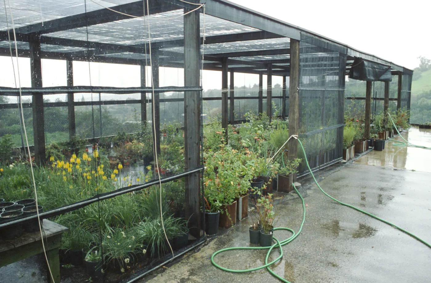 Horticulture Unit, shade structure, gcovered growing area