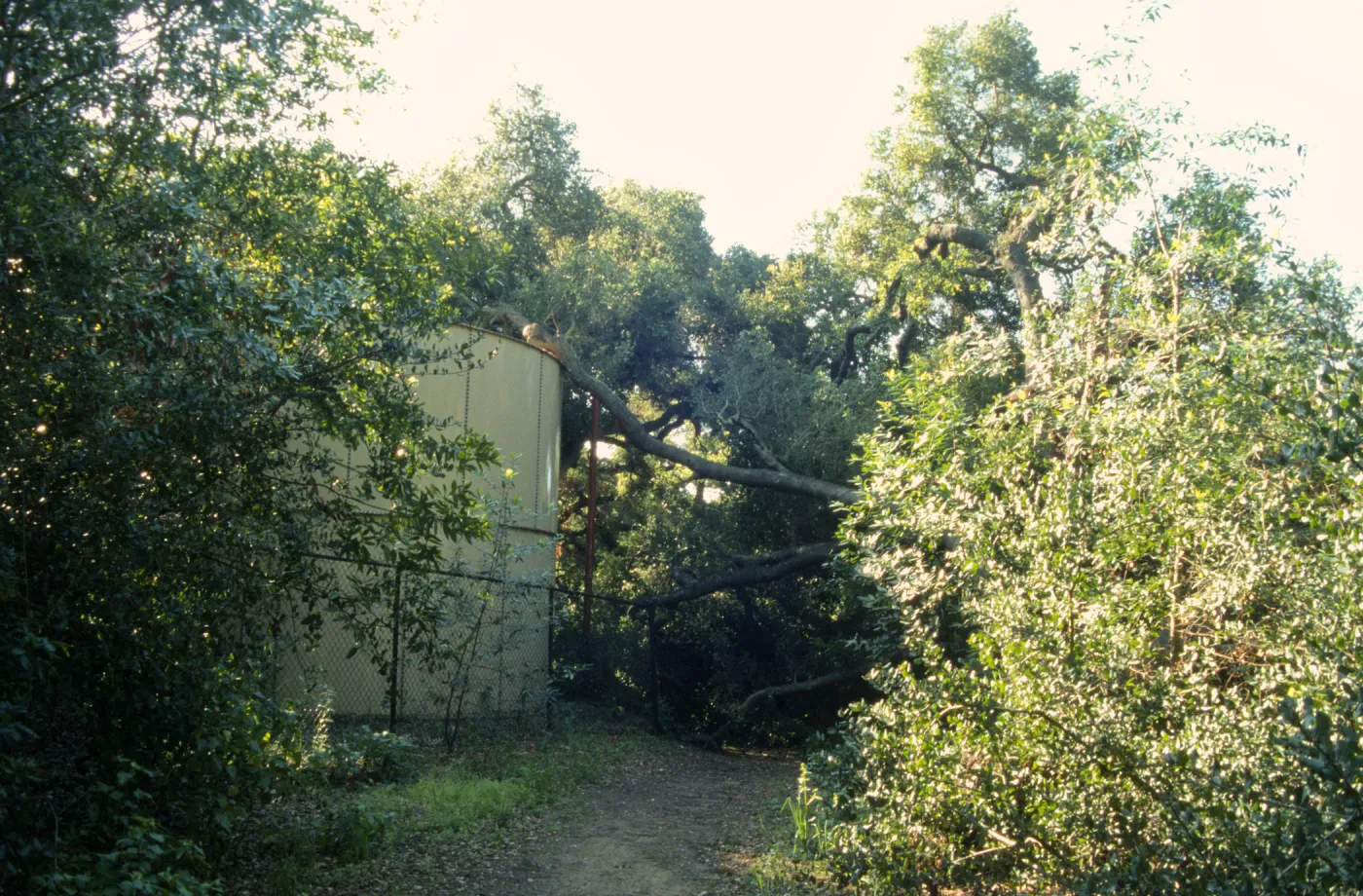 Water Storage Tank