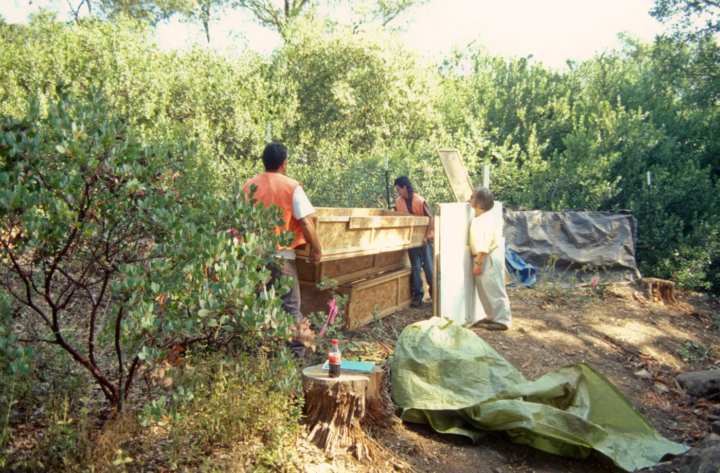 Tea House Construction