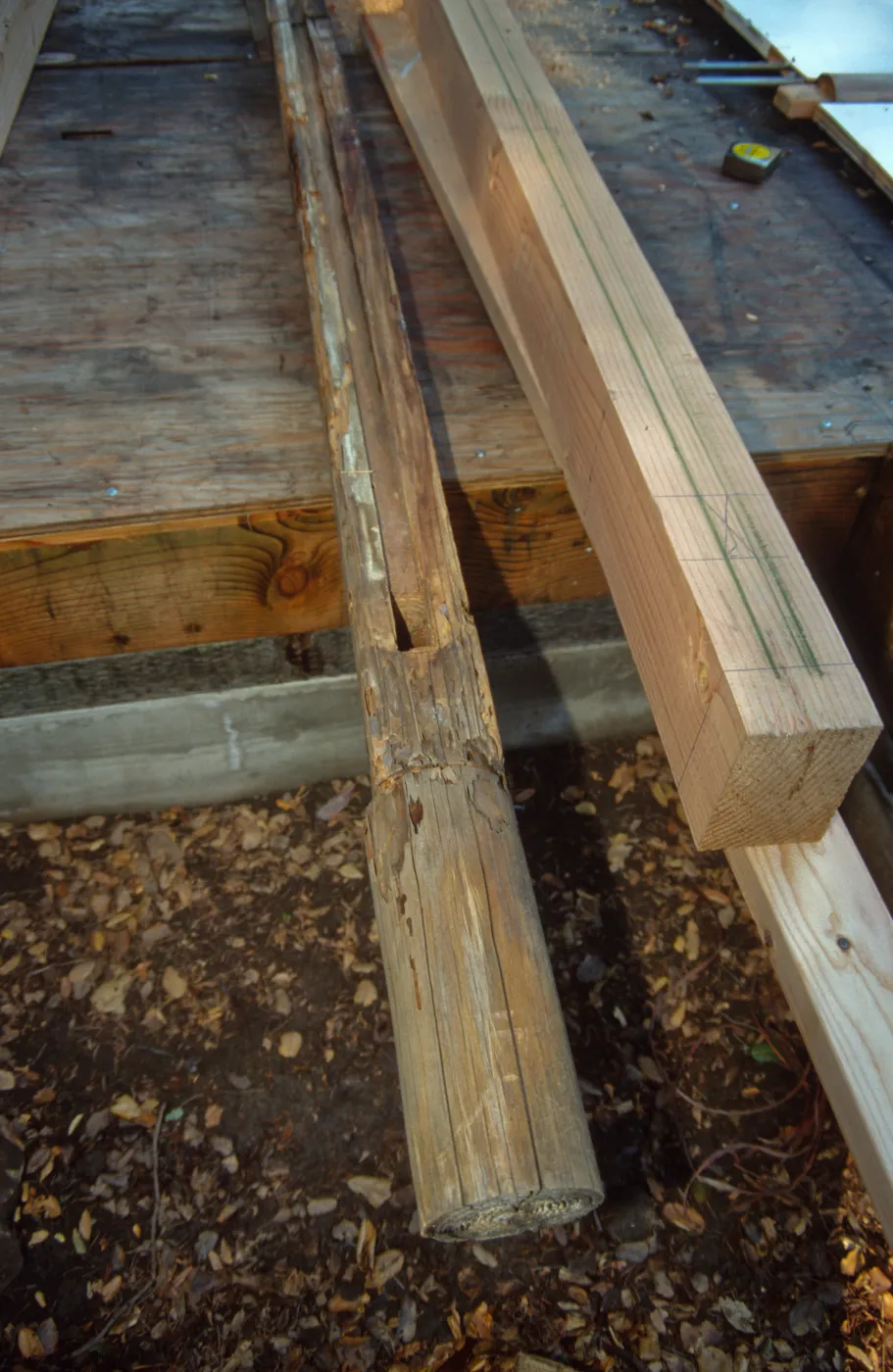 Tea House Construction