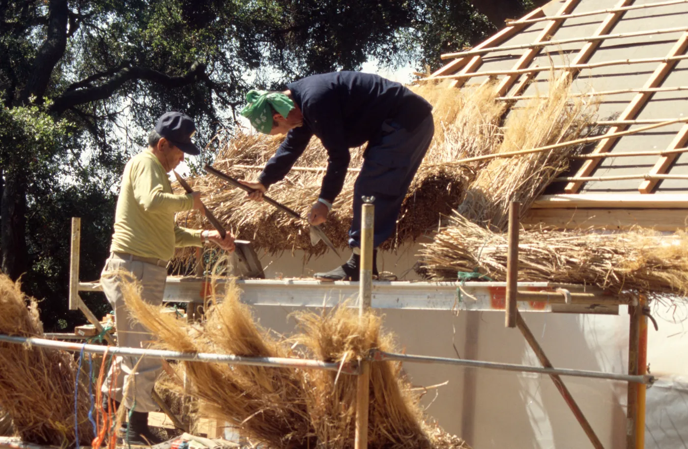 Roof thatching tea house construction