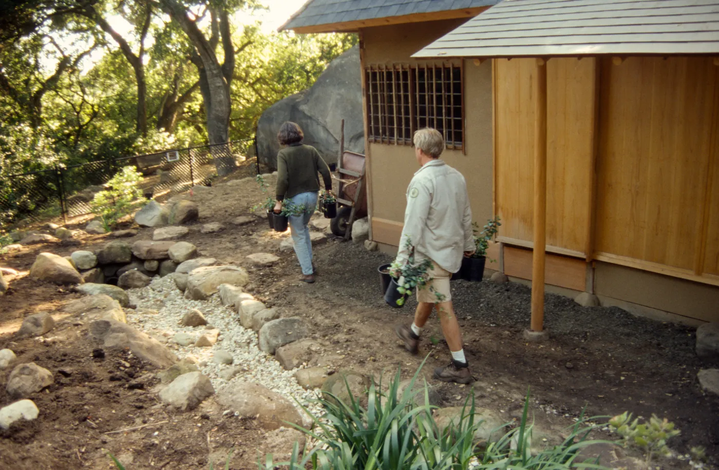 Tea House Garden installation