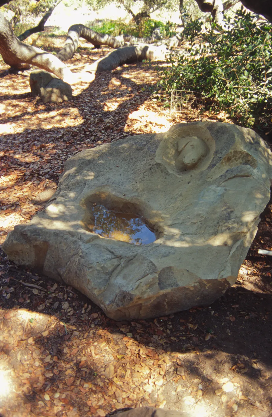 dog fountain, Meadow Oaks