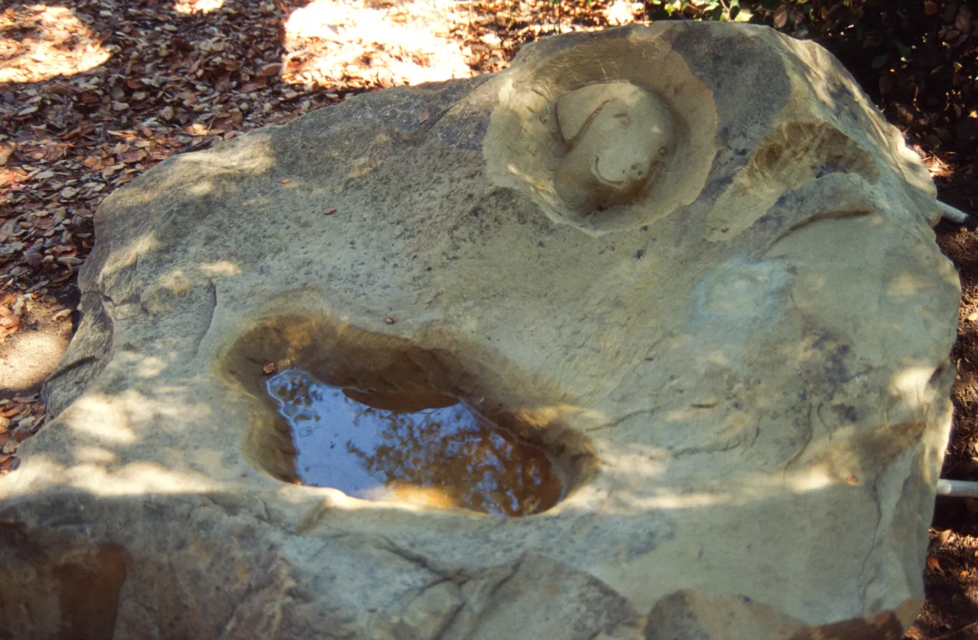 dog fountain, dog water basin, Meadow Oaks