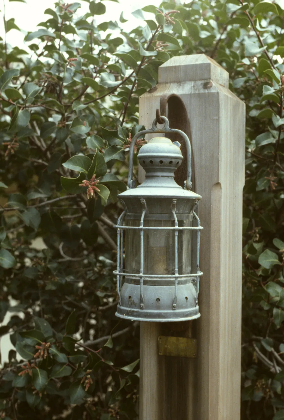 Courtyard Lamp