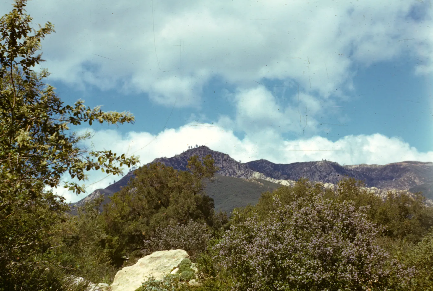 Santa Ynez Mountains from the Porter Trail