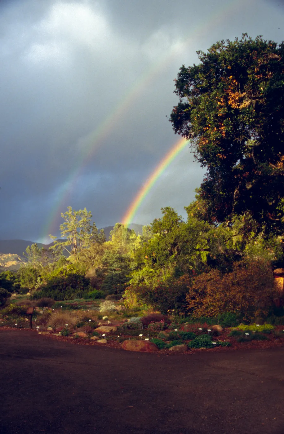 double rainbow over SBBG