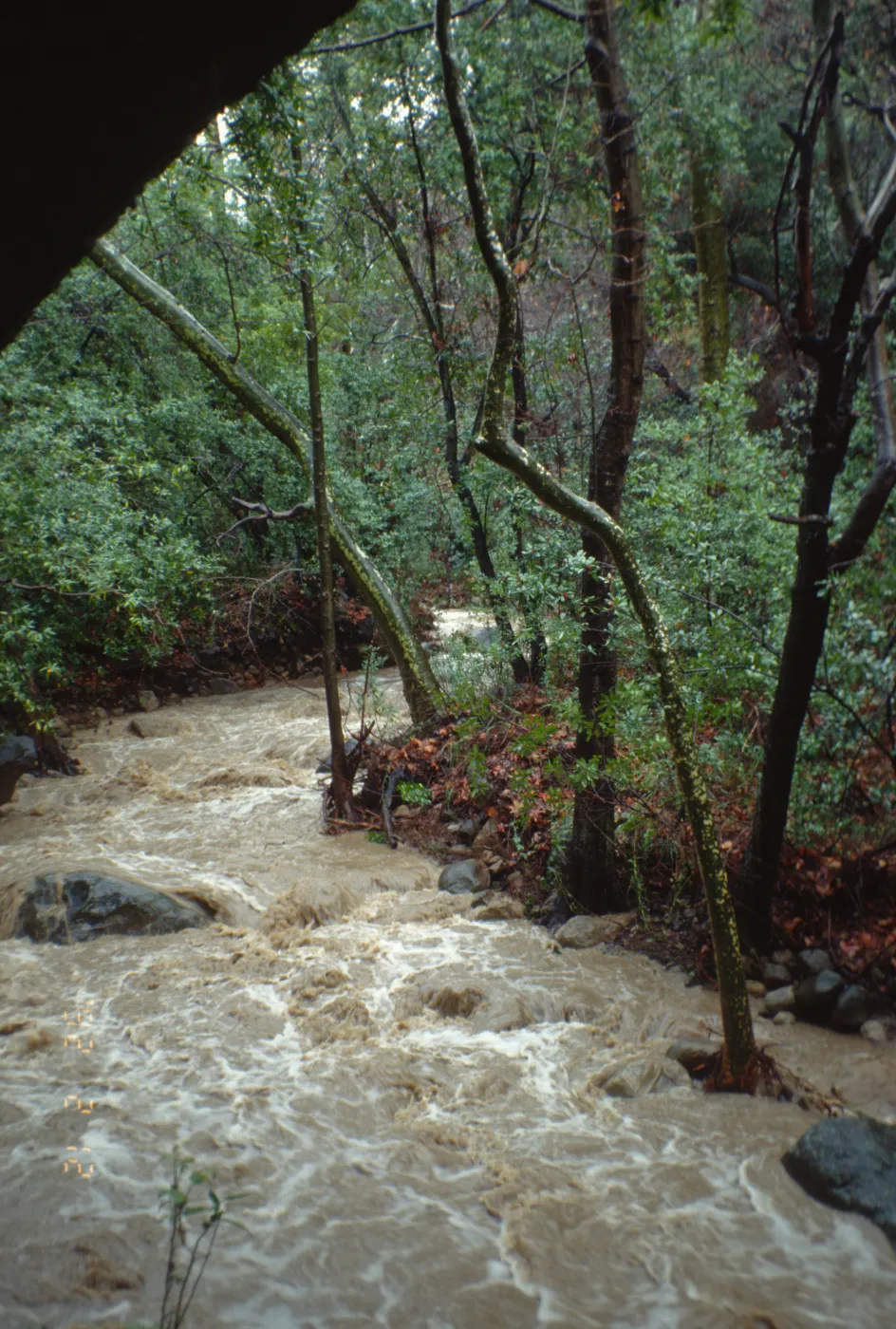 Mission Creek