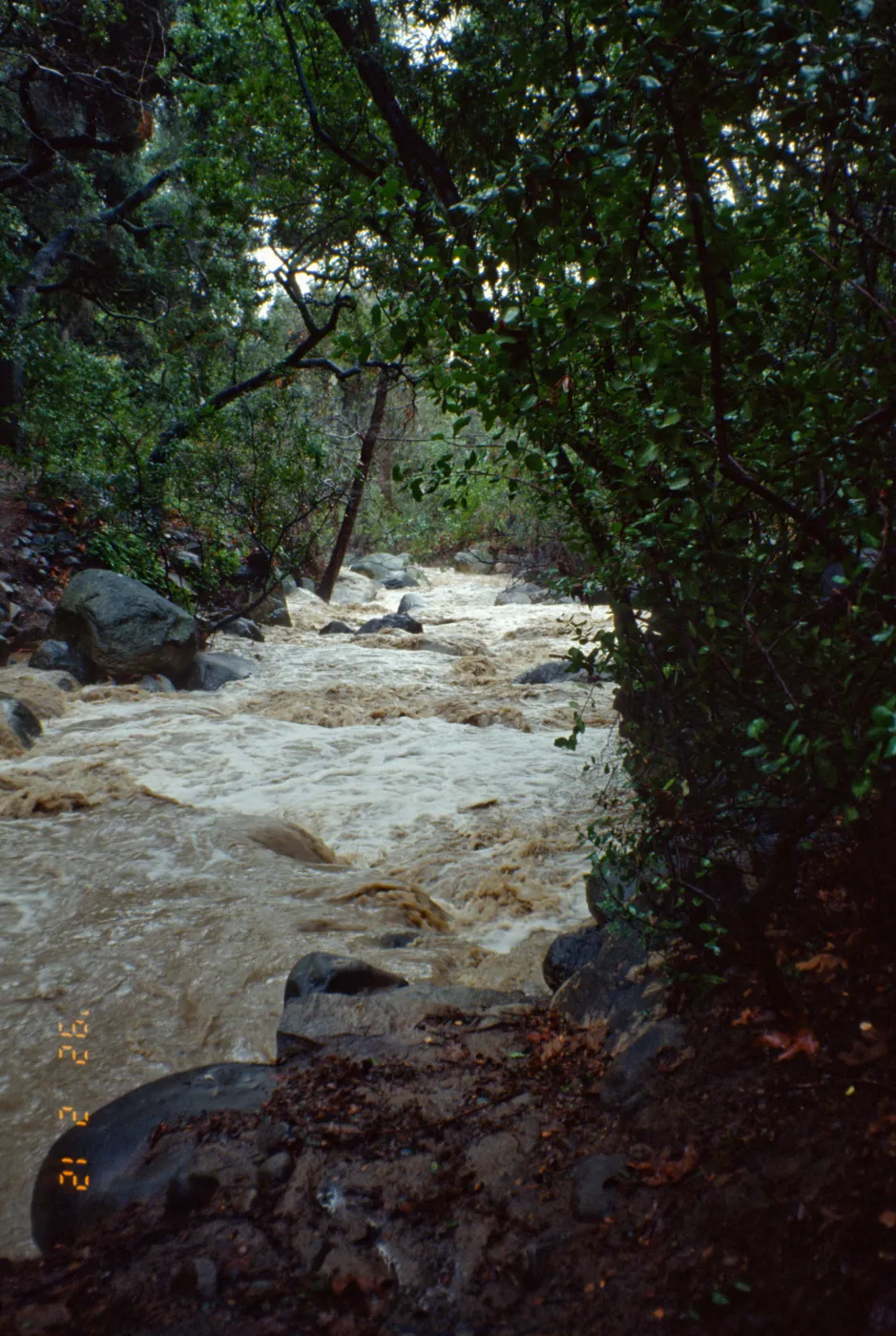 Mission Creek