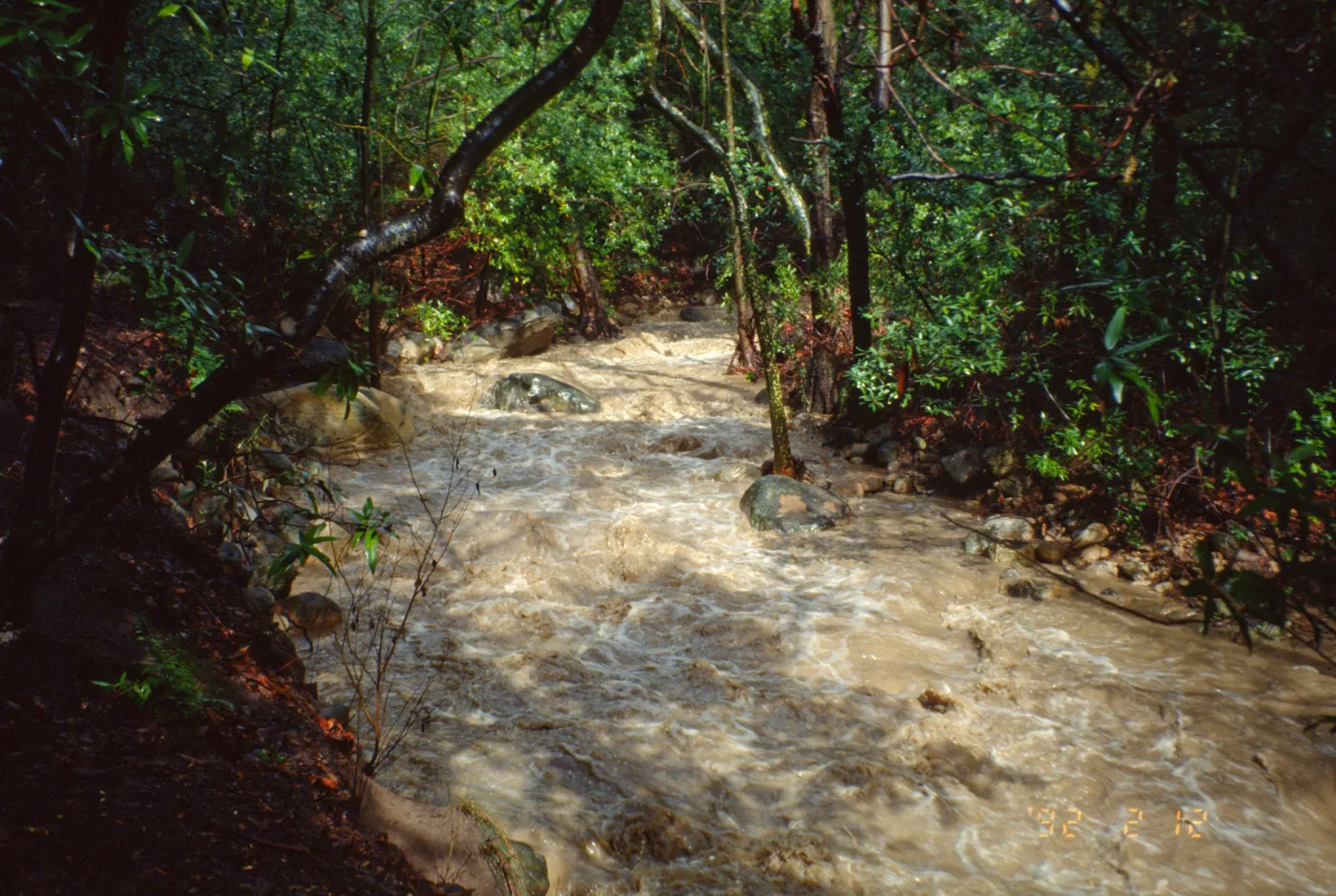 Mission Creek