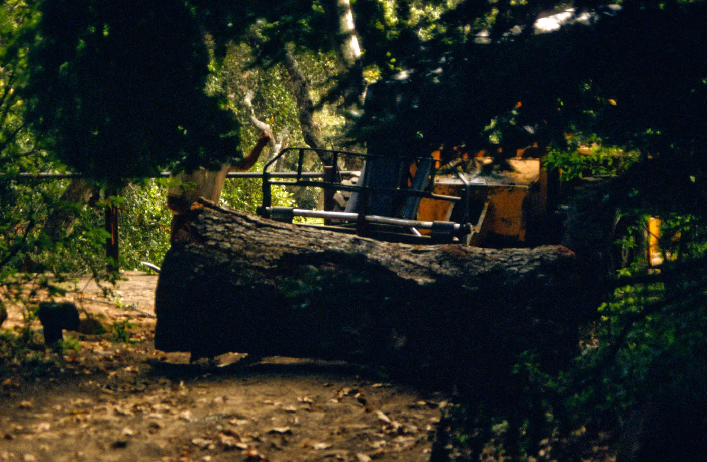 tree removal, tractor on Mission Dam