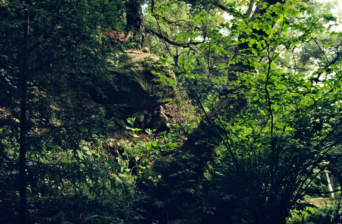 large boulder on Mission Canyon slope above Mission Dam