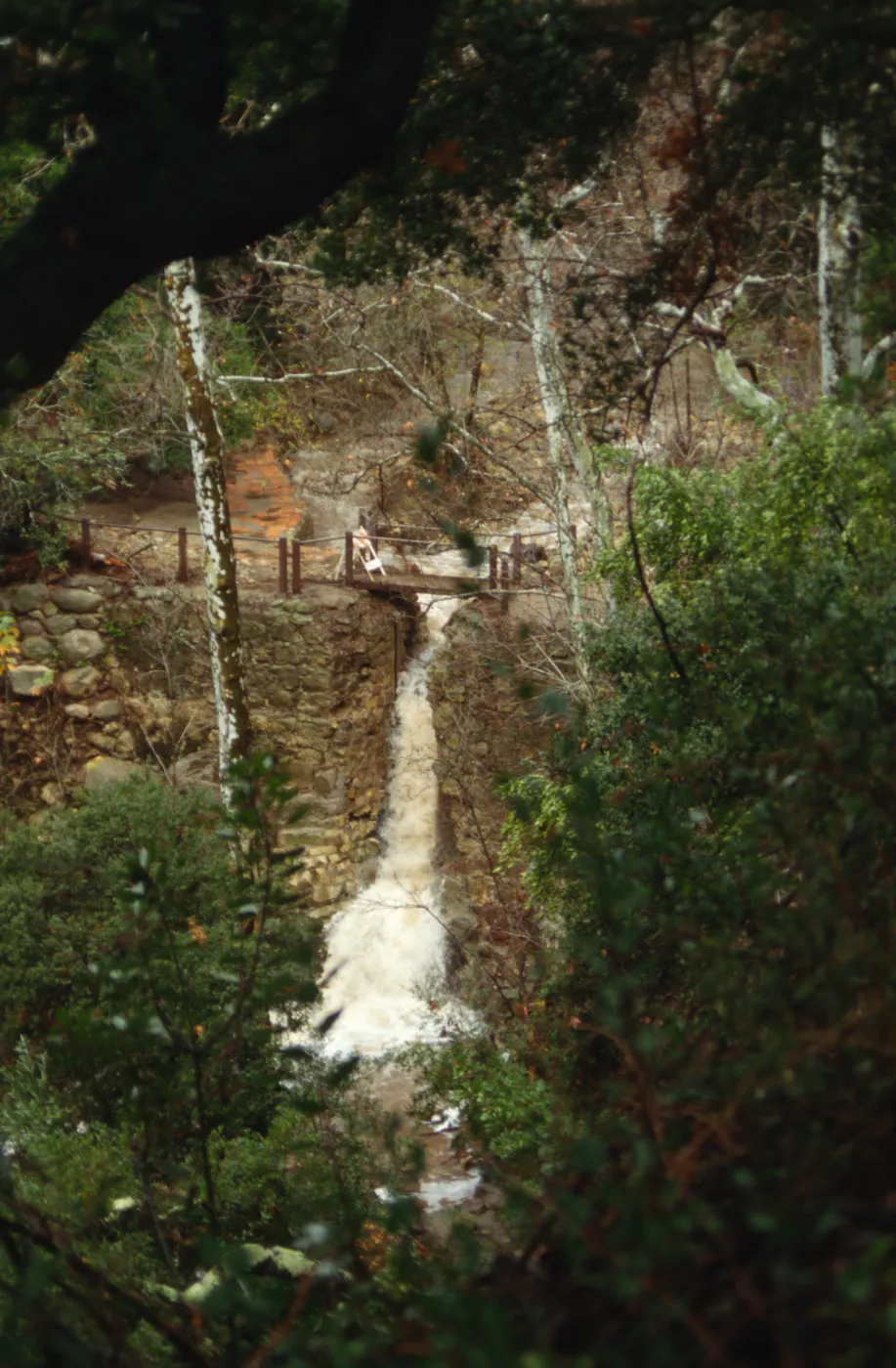 Mission Creek Flood Stage, January 1995 storm