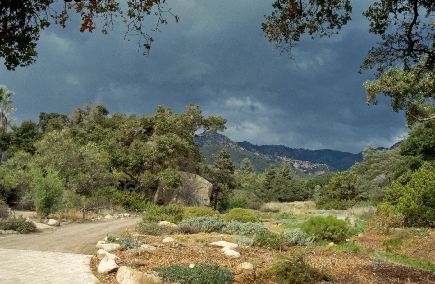 Lower Meadow